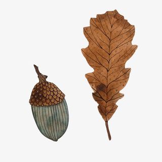 树叶栗子组合素材图片免抠