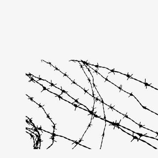 没有规则的铁丝荆条编织免抠