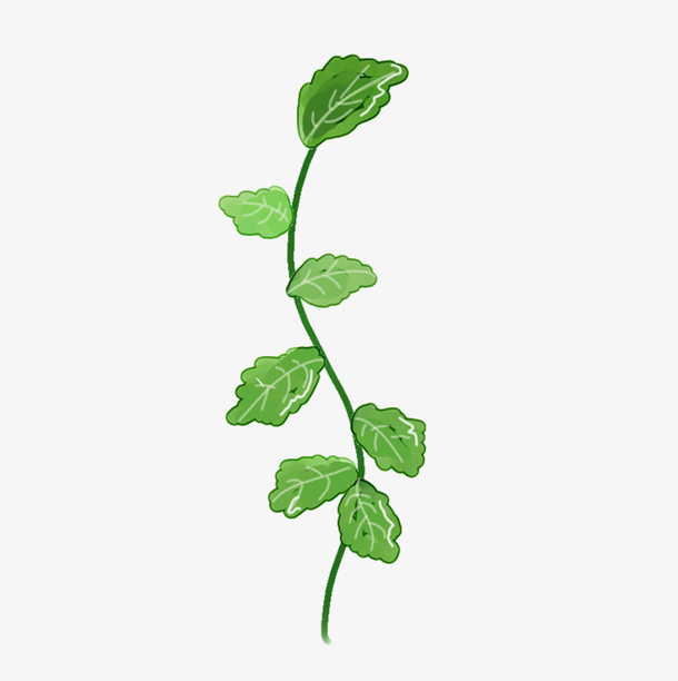 春天植物叶子小草免抠