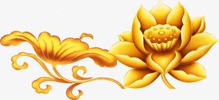 金色莲花盛开的素材免抠漂浮其他元素
