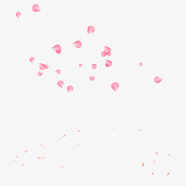 花瓣漂浮物免抠