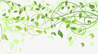 绿色藤蔓装饰免抠