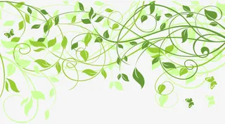 绿色藤蔓装饰免抠