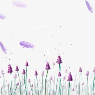 卡通紫色薰衣草花海免抠