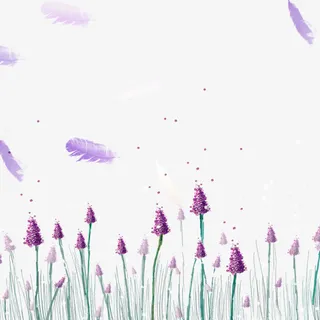 卡通紫色薰衣草花海免抠