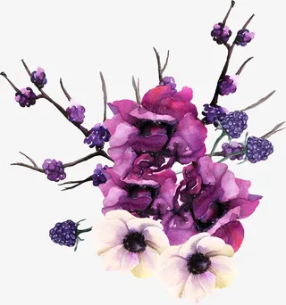 树枝上盛开的花朵免抠