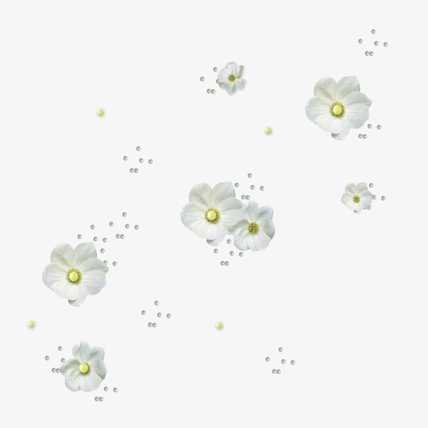 背景装饰 漂浮的 小百花