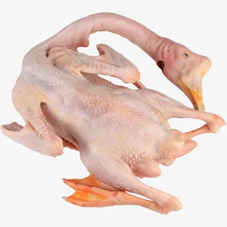 一只新鲜的鹅免抠