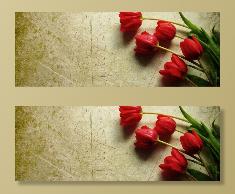 玫瑰花背景banner装饰高清