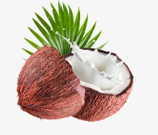 椰子椰子汁免抠素材免抠