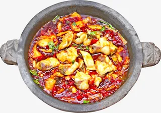 石锅土鲫鱼png免抠