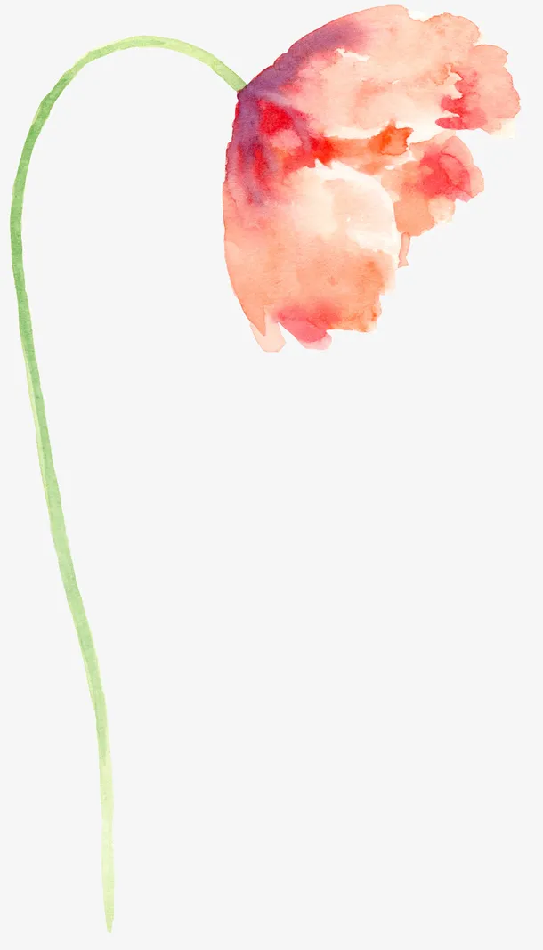 手绘水彩花卉免抠