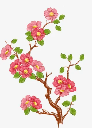 树枝装饰花免抠