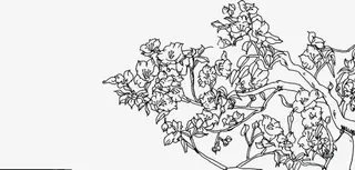 文艺手绘树枝美景免抠