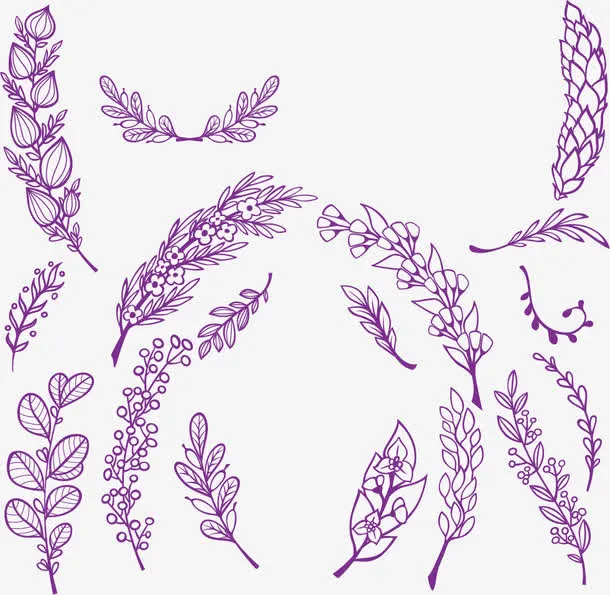 紫色手绘冬日花草免抠