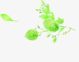 夏季新品绿叶装饰免抠