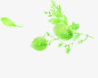 夏季新品绿叶装饰免抠