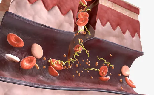 皮肤组织细胞图片免抠