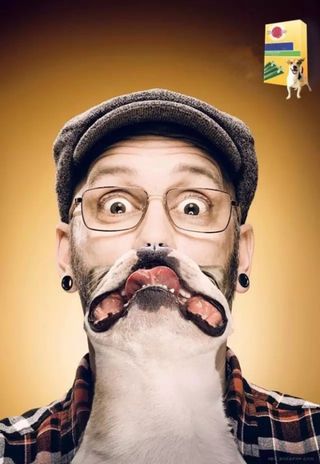 宠物医疗护理广告背景高清