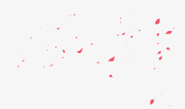 漂浮花瓣免抠