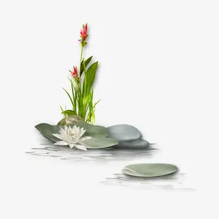 中国风荷花素材PNG免抠