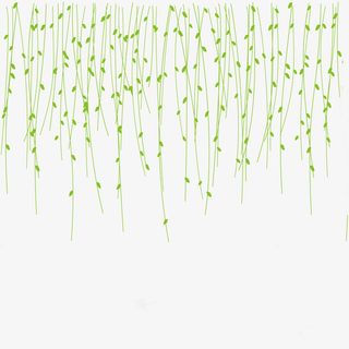 春天柳树柳枝装饰免抠动植物植物元素