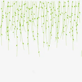春天柳树柳枝装饰免抠动植物植物元素