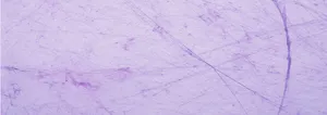 纸纹背景banner高清