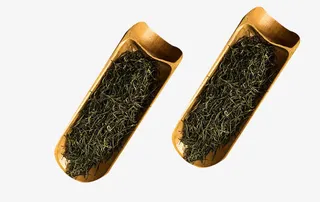 漏斗里的茶叶免抠