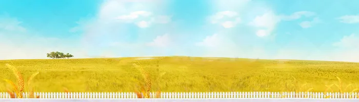秋季秋高气爽唯美背景banner高清