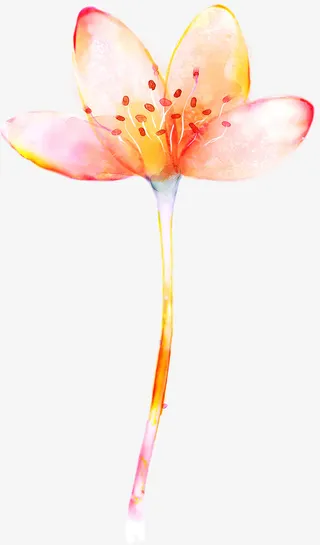 艺术渐变手绘花朵免抠
