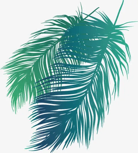矢量手绘树叶免抠