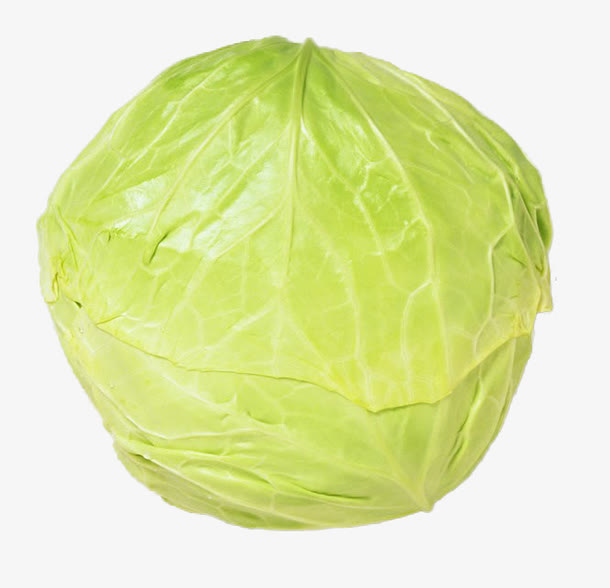 单个卷心菜免抠