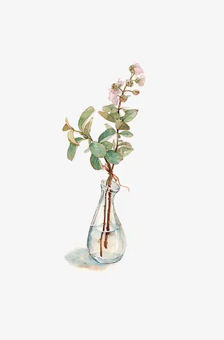 手绘玻璃花瓶瓶和花免抠