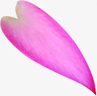 粉色爱心花瓣免抠