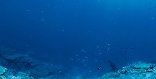 蓝色科技质感大气详情页背景高清