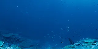 蓝色科技质感大气详情页背景高清