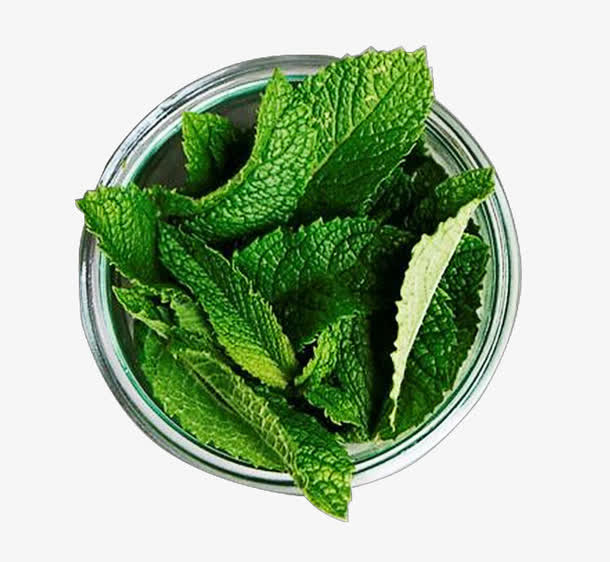 薄荷 盘里免抠
