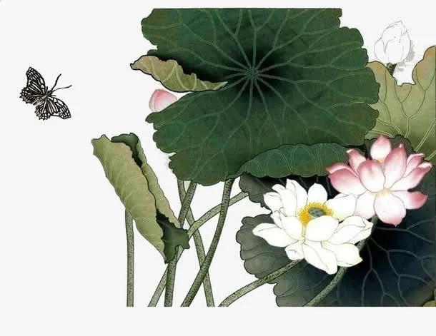 蝴蝶戏荷免抠
