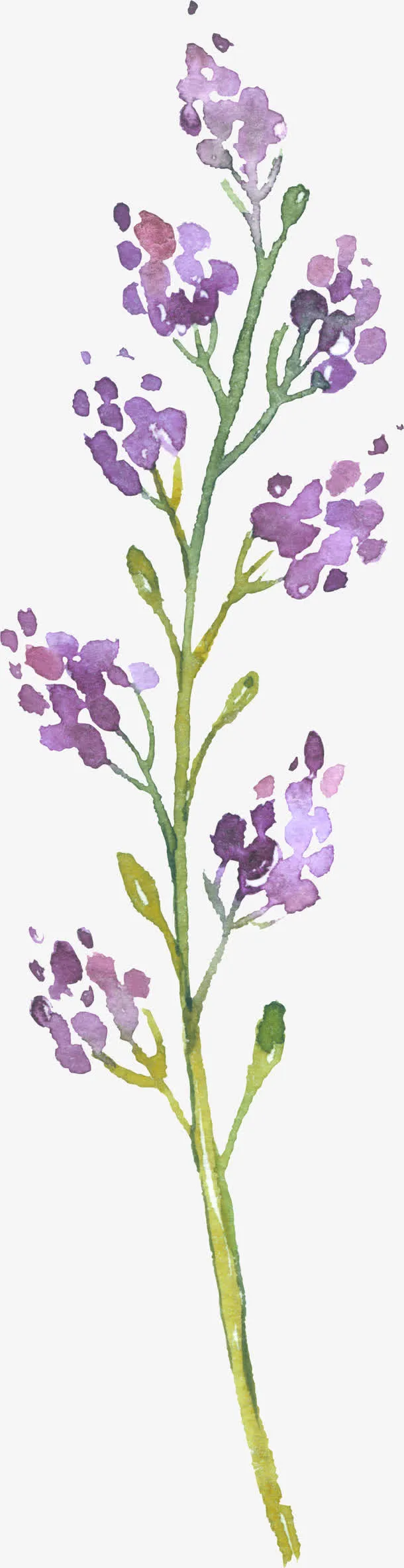 树叶图片树叶花边免抠