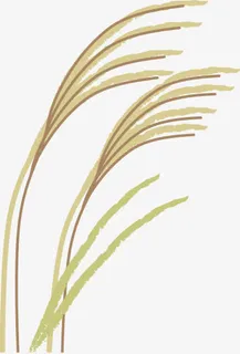 黄色手绘水稻中秋免抠