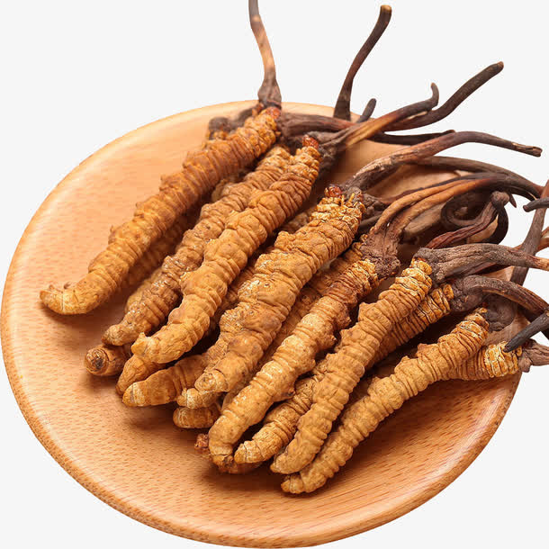 药材纯天然冬虫夏草免抠
