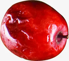 红色大枣端午节免抠