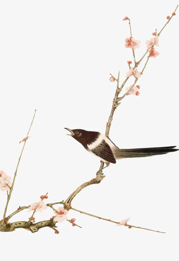 中国风花鸟装饰免抠
