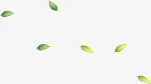 绿色树叶漂浮免抠