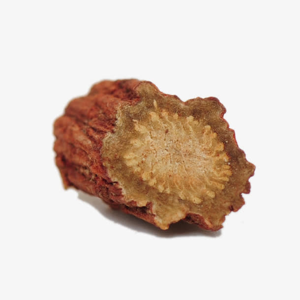 高清丹参特写免抠