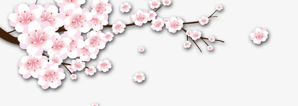 白色梅花免抠