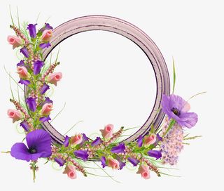 花朵 花瓣 相框免抠