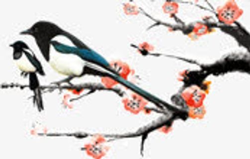 梅花喜鹊免抠