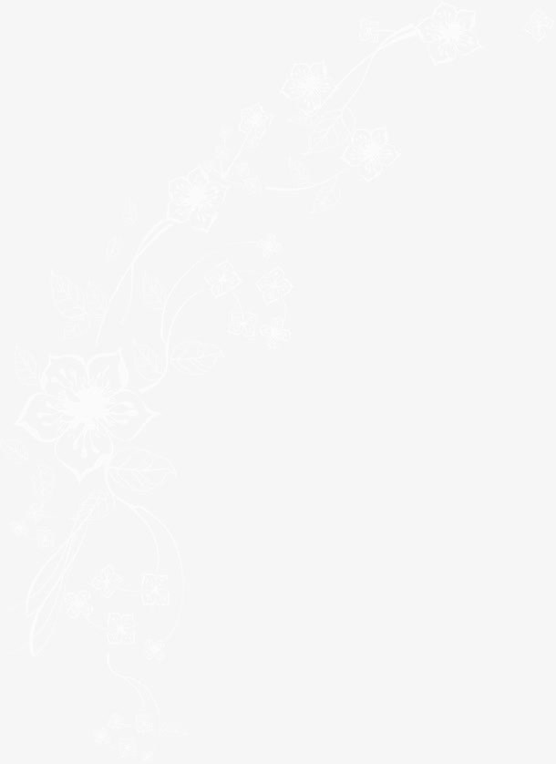 白色线条花枝花朵免抠